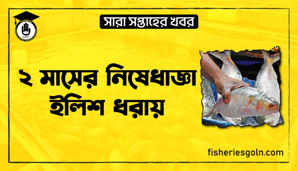 ২ মাসের নিষেধাজ্ঞা ইলিশ ধরায়