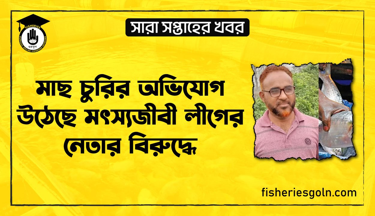 মাছ চুরির অভিযোগ উঠেছে মৎস্যজীবী লীগের নেতার বিরুদ্ধে