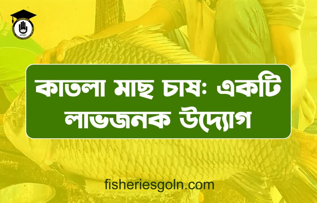কাতলা মাছ চাষ: একটি লাভজনক উদ্যোগ