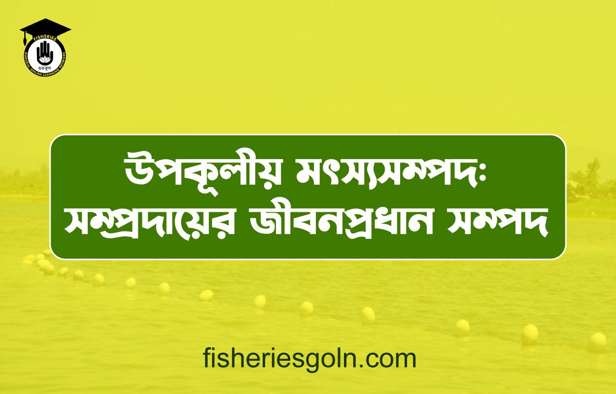 উপকূলীয় মৎস্যসম্পদ: সম্প্রদায়ের জীবনপ্রধান সম্পদ