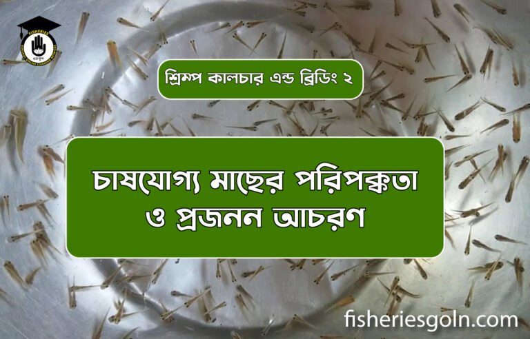 চাষযোগ্য মাছের পরিপক্কতা ও প্রজনন আচরণ