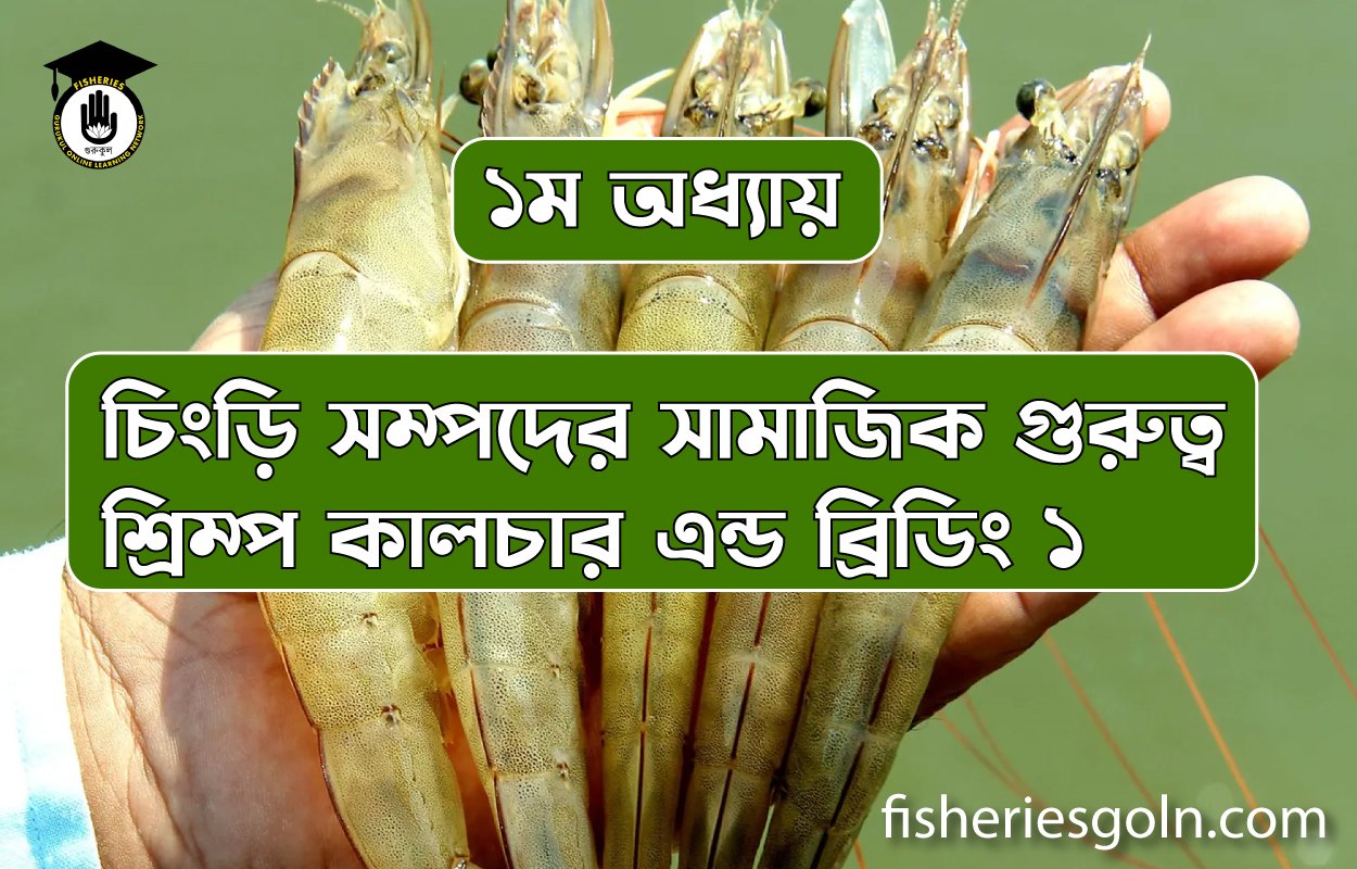 চিংড়ি সম্পদের সামাজিক গুরুত্ব। ১ম অধ্যায় । শ্রিম্প কালচার এন্ড ব্রিডিং ১