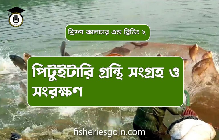পিটুইটারি গ্রন্থি সংগ্রহ ও সংরক্ষণ