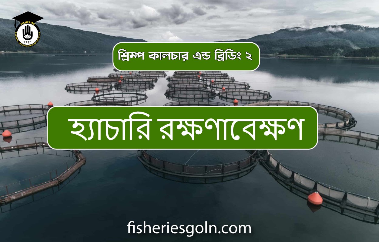 হ্যাচারি রক্ষণাবেক্ষণ